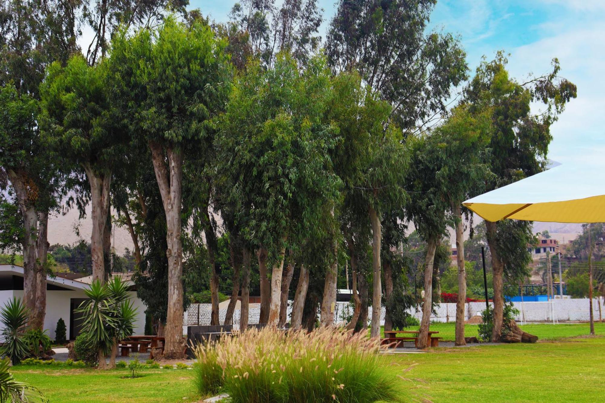 Los Andes - Restaurant & Bungalows Сьєнегуїлья Екстер'єр фото