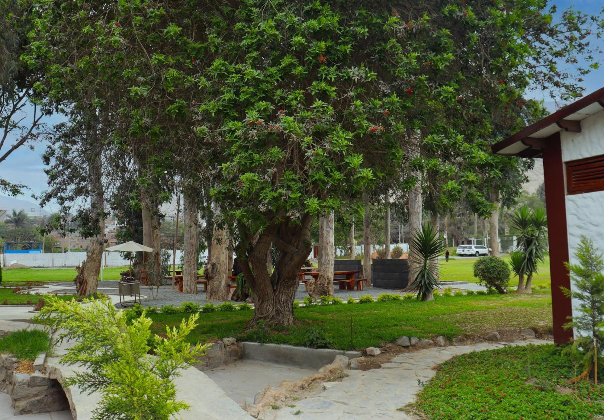 Los Andes - Restaurant & Bungalows Сьєнегуїлья Екстер'єр фото